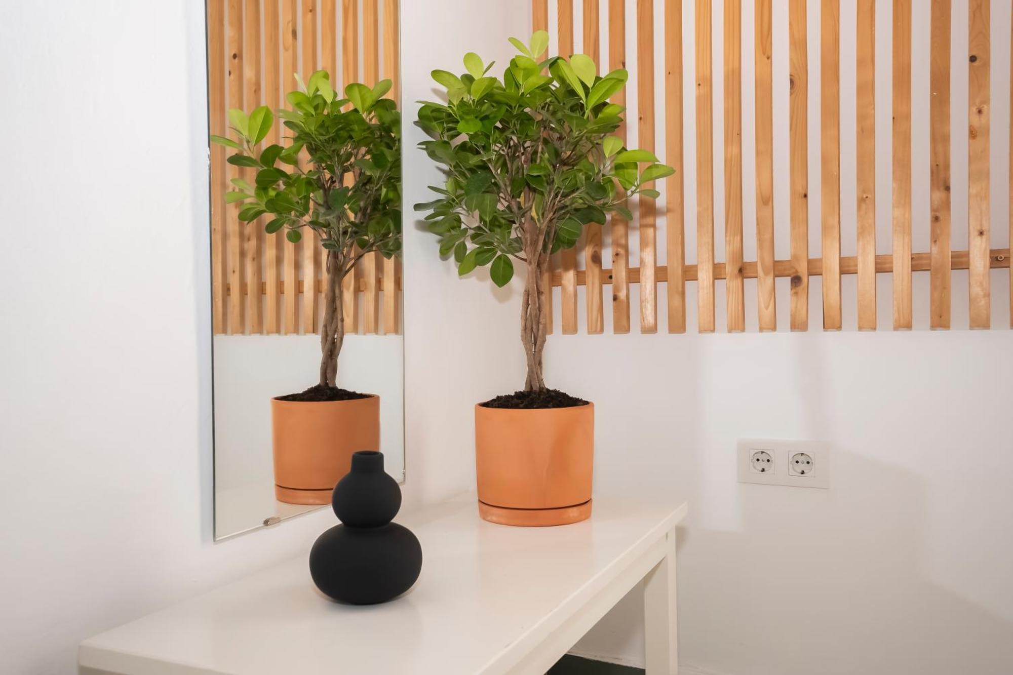 California Apartament Dos De Mayo Sevilla Eksteriør bilde